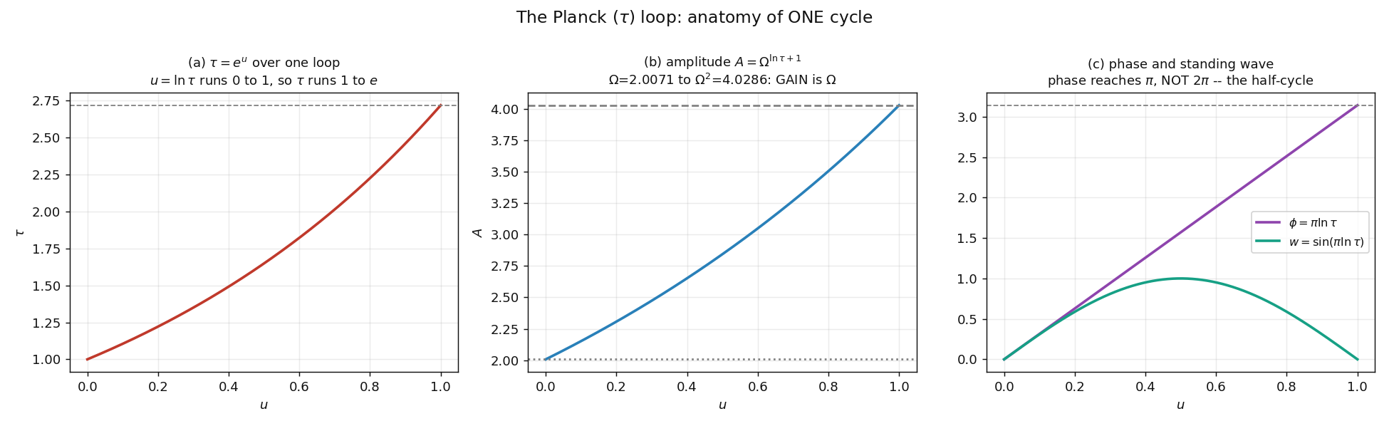 tau loop fig1