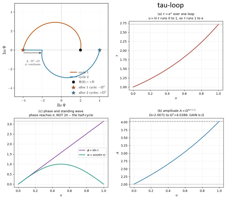 tau loop fig1